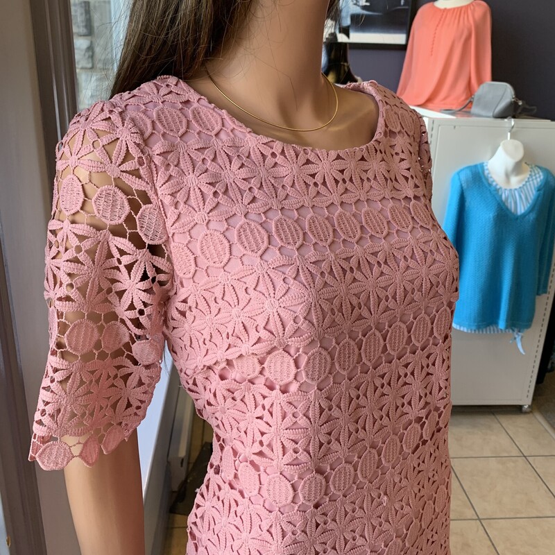 Sandra Darren Dress Lace,
Colour: Pink,
Size: 10petite